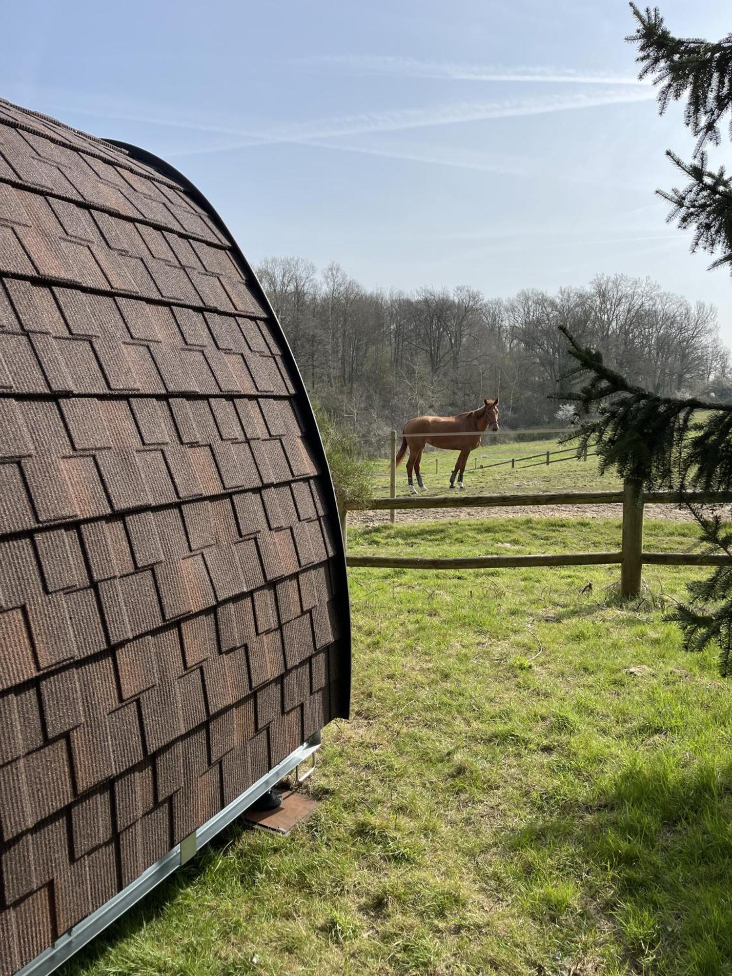 Domaine De La Butte Ronde *
